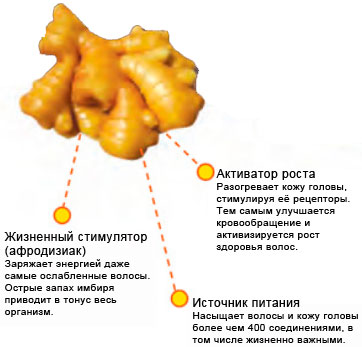 Карта золотистого имбиря