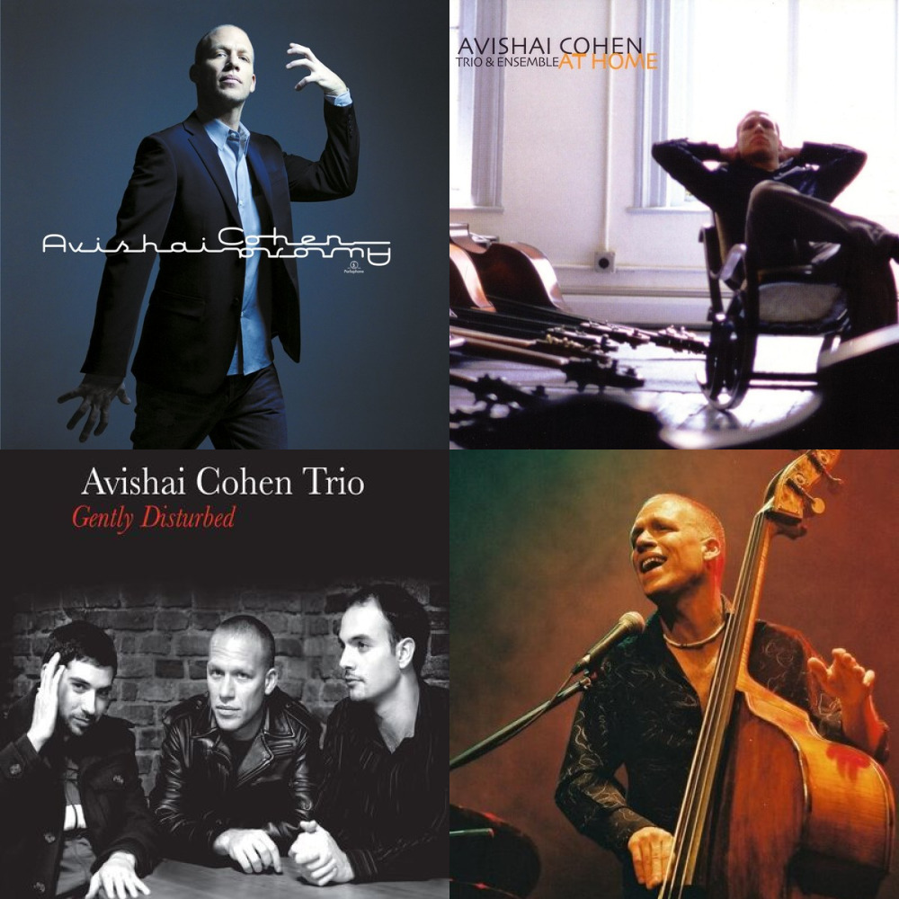 Avishai Cohen Trio - Gently Disturbed (2008) (из ВКонтакте)
