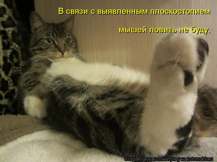 Привет бездельникам картинки